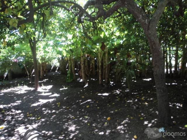 vendo casa con terreno hermoso en GRANADA — foto 4