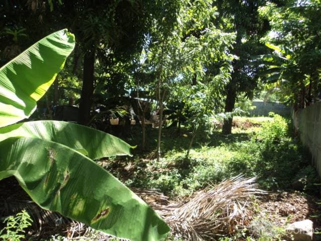 vendo casa con terreno hermoso en GRANADA — foto 5