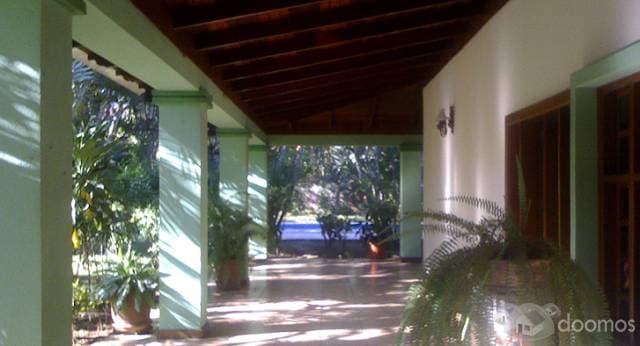 Alquiler Casa CARRETERA A MASAYA — foto 6