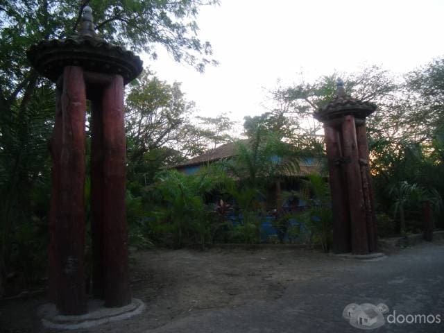 Casona con mucha vegetacion — foto 4