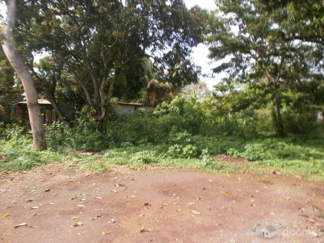 HERMOSO TERRENO — foto 4
