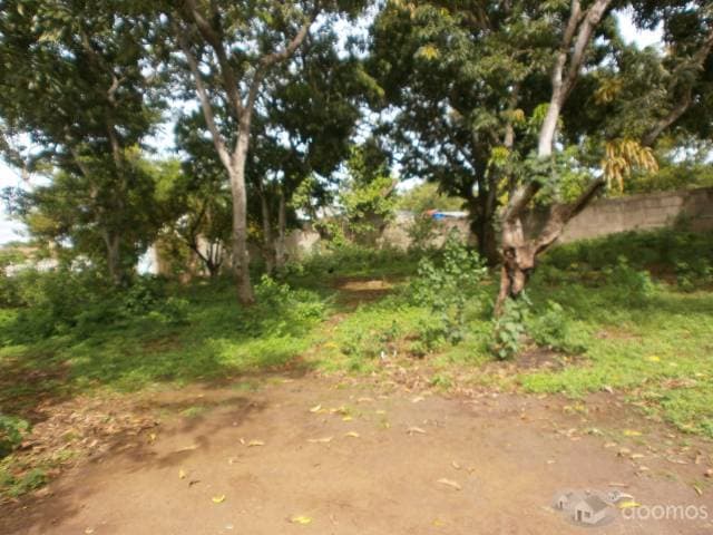 HERMOSO TERRENO — foto 6